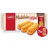 Lotus Mini madeleine cookies