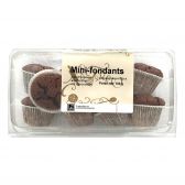 Delhaize Mini chocolade fondants (voor uw eigen risico, geen restitutie mogelijk)