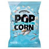 Moonpop Biologisch zeezout popcorn groot